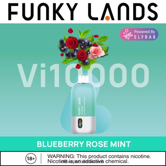 Elf Bar Pods Kaufen - ELFBAR Funky Lands Einweg-Vape VI10000 Züge 4FBZB465 Blaubeer-Rosen-Minze